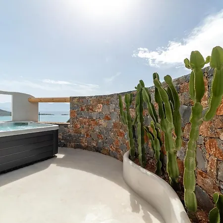 New Serenity Art Villa